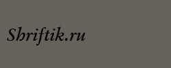 Garamand Classic Bold Italic 